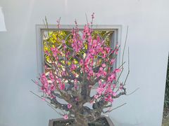 -无锡梅园公园