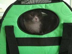-纳吉亚猫专科动物医院博雅分院