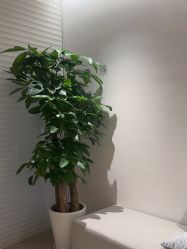 -BR光电保养