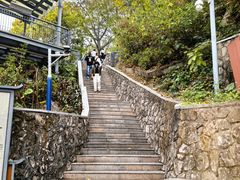 -佛山华盖山公园