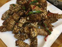 -东海章鱼馆(恒瑞街店)