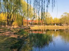 -大兴滨河森林公园