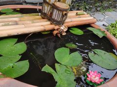 -常德桃花源景区