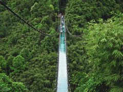 -川西竹海景区