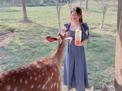 -南京金牛湖风景区