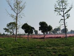 -汉长安城未央宫国家考古遗址公园