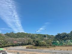 -深圳野生动物园