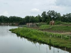 -乌村