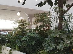 -大树餐厅(红旗街万达店)