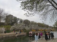 -元大都城垣遗址公园