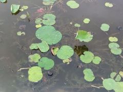 -天津东丽湖风景区