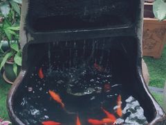 -T館·花园艺术餐厅