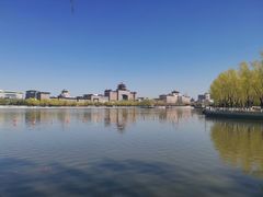 -莲花池公园
