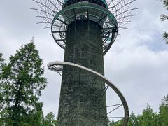 -黄海国家森林公园