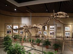 -自贡恐龙博物馆