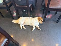 -古代饭堂(冠亚店)