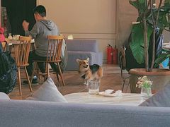 -the rug 飞毯 (朝阳公园店)