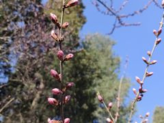 -颐和园-景明楼