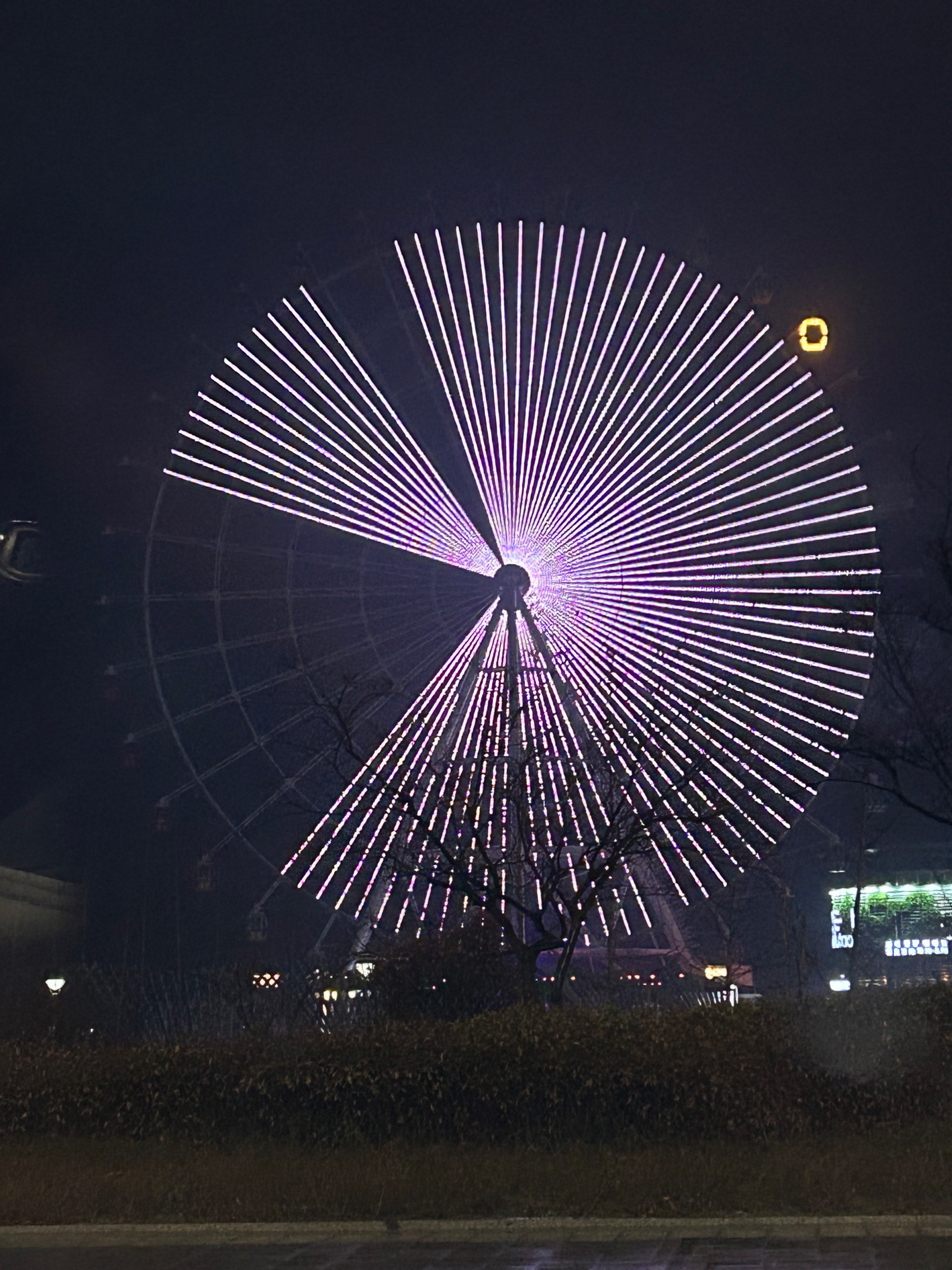 青岛琴岛之眼夜景图片图片