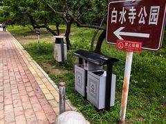 -白水寺森林公园