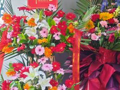 -中关村茶点