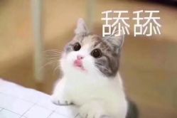 -镁连社·美联社