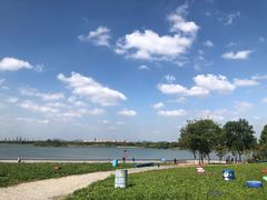 -贡湖湾湿地公园
