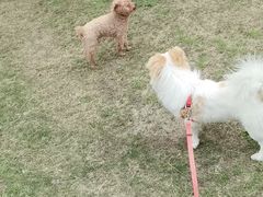 -钟山体育运动公园