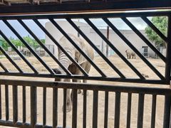 -鄂尔多斯野生动物园