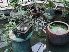 -农轩·醉黄冈