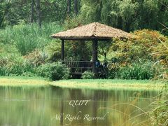 -桤木河湿地公园