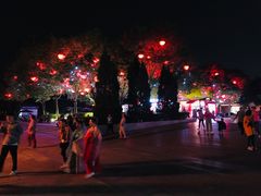 -大雁塔北广场音乐喷泉