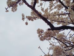 -樱桃山旅游景区