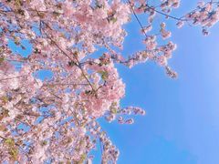 -海棠花溪(元大都城垣遗址公园)
