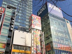 -秋叶原电器街