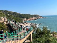 -广东惠东海龟国家级自然保护区