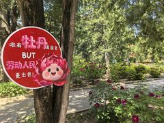 -北京市劳动人民文化宫(太庙)
