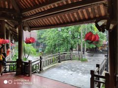 -河内西湖莲花自助餐厅
