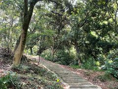 -黄埔油麻山森林公园