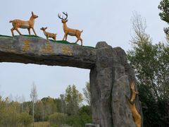 -野鸭湖国家湿地公园