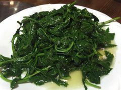 -老味道1992(武当山店)