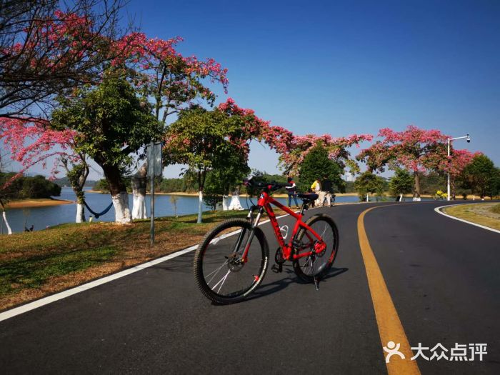 松山湖南湖湾露营营地图片