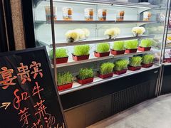 -番食园鲜食火锅(高新店)