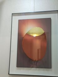 -郑荃丽格医疗美容