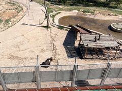 -青藏高原野生动物园