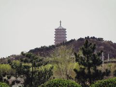 -永定河休闲森林公园