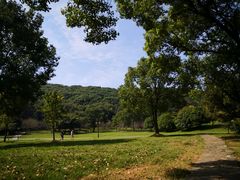 -苏州上方山国家森林公园