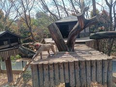 -云南野生动物园
