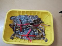 -珠光市场(文德南路)