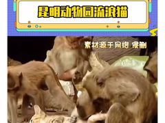-昆明动物园